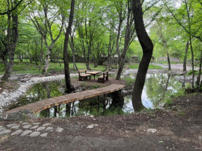 Qusar Forest
